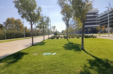 Entorno del Anillo Verde, Zaragoza